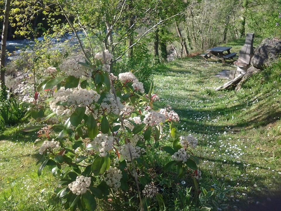Apartamentos San Francisco Rural Caño Екстериор снимка